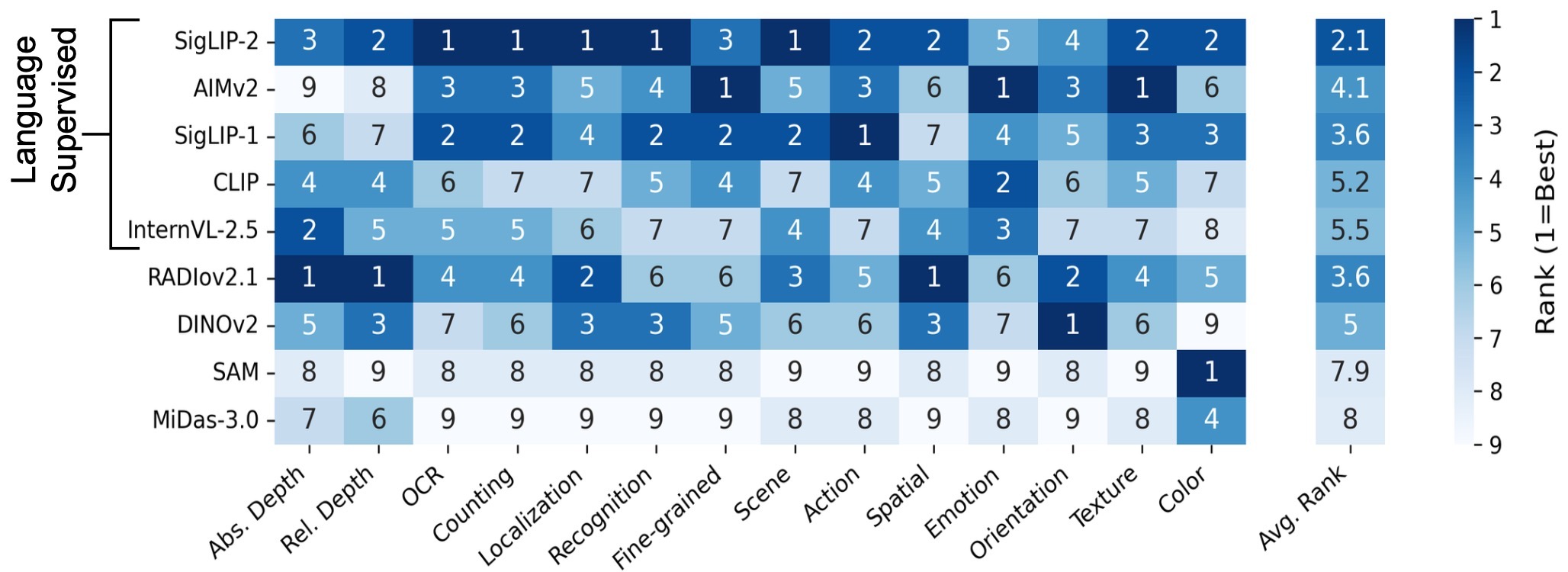 Heatmap of VFM ranks over AVAs with highlighted best model-ability matches