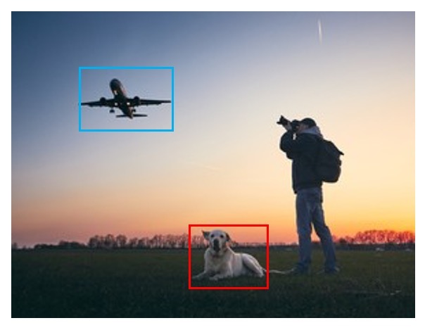 Dog and plane image with red dog box and blue plane box