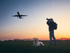 Dog and plane image without bounding boxes