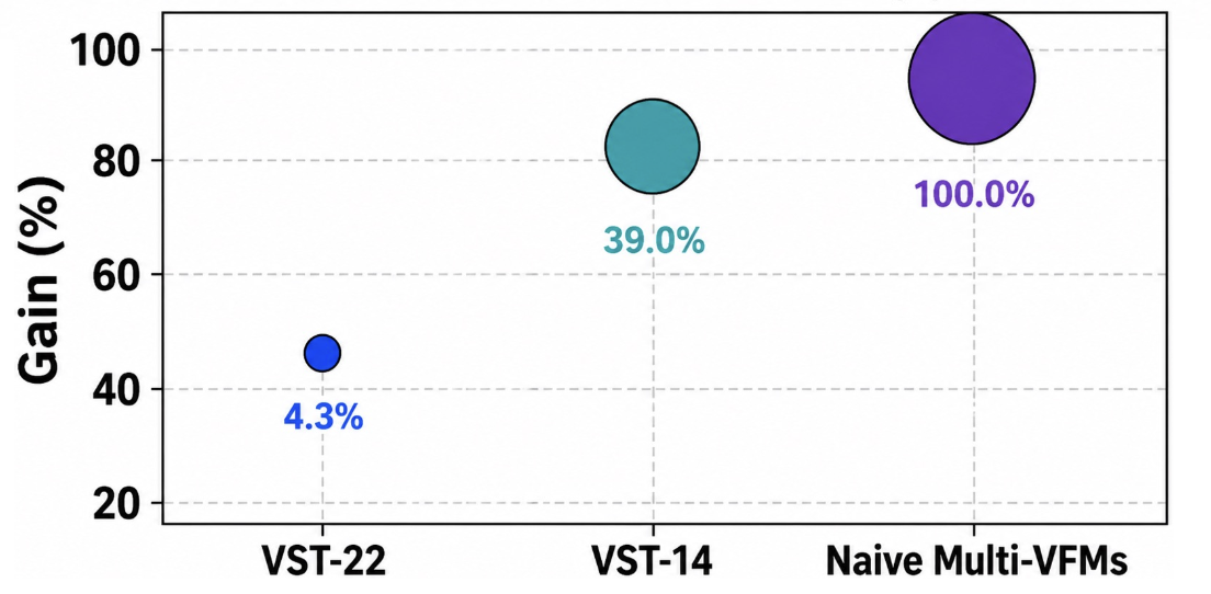 VST gain versus overhead compared with naive multi-VFMs